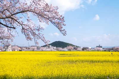 Landscape Photo